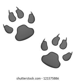 Black Paw Print Stock Illustration 121575886 | Shutterstock