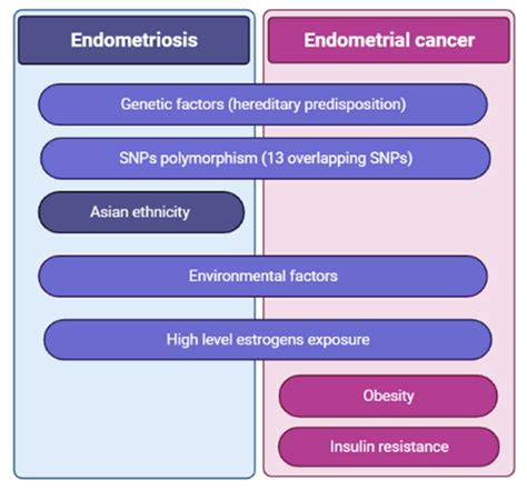 Ijms Free Full Text Molecular Basis Of Endometriosis And