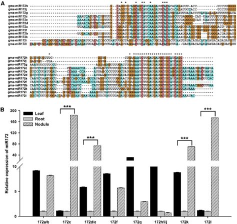 Sequence Alignments And Tissue Speci Fi C Expression Analysis Of Mir172 Download Scientific