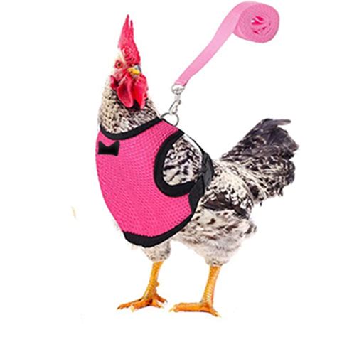 Feledorashia Chicken Harness with Leash, Harness and Leash Set for Hens