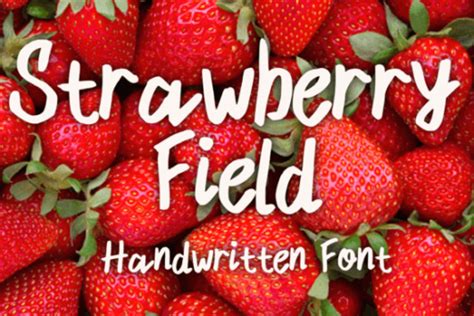 Strawberry Field Font Font Canyon