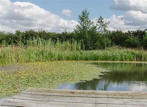 Mini Meadows Farm | Northamptonshire | The Tourist Trail