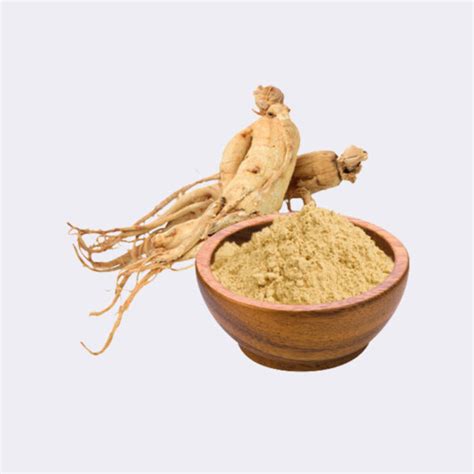 Bulk Organic Siberian Ginseng Extract Powder Manufacturer OrganicPE Inc