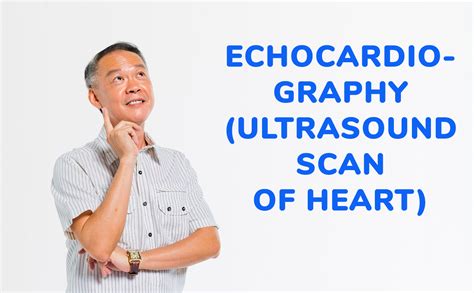 Echocardiography (Ultrasound scan of Heart) - LifeCare Diagnostic Medical Centre