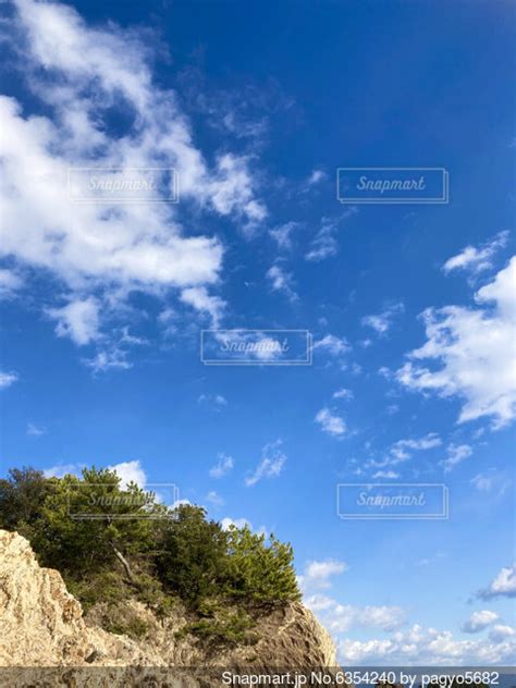 岩の上の植物と青い空の写真・画像素材[6354240] Snapmart（スナップマート）