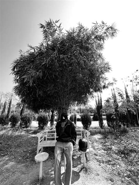 Two People Sitting On Benches Under A Tree