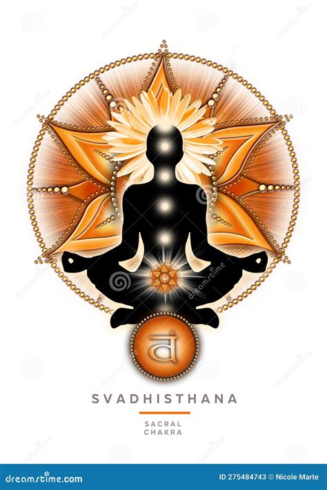 Sacral Chakra Meditation In Yoga Lotus Pose In Front Of Svadhisthana