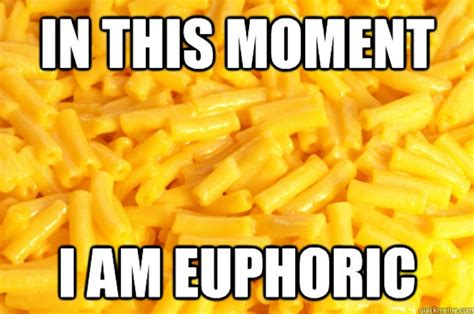 National Mac And Cheese Day Memes That Will Make You Drool