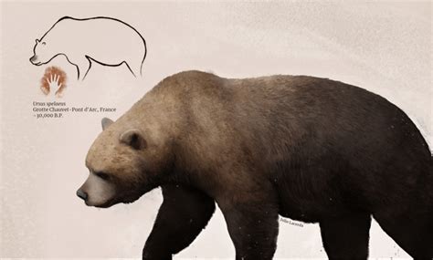 Extinct Megafauna and their respective paintings. : r/Naturewasmetal