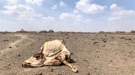 13 Million Face Hunger As Horn Of Africa Drought Worsens UN