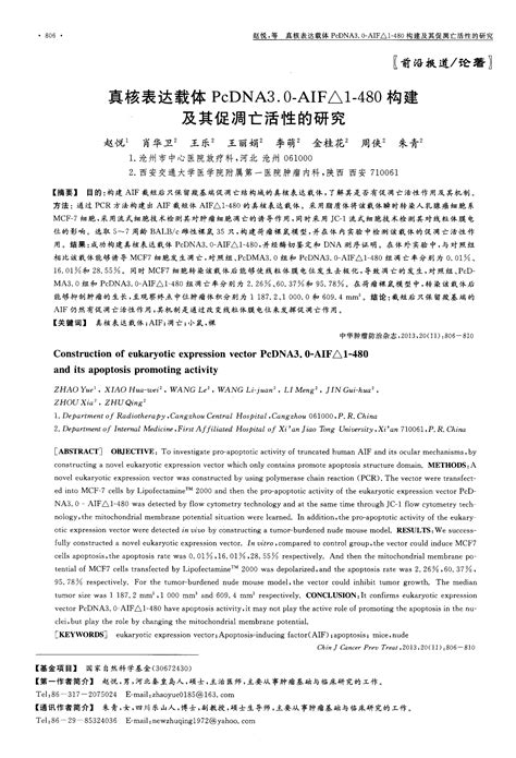 真核表达载体pcdna3 0 Aif／ 1—480构建及其促凋亡活性的研究 Word文档在线阅读与下载 无忧文档