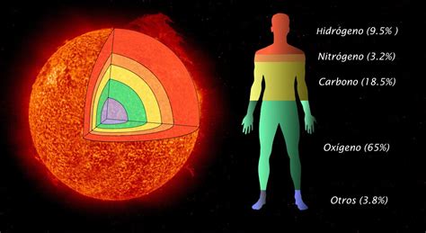 El Universo En El Hombre Revista Ideele