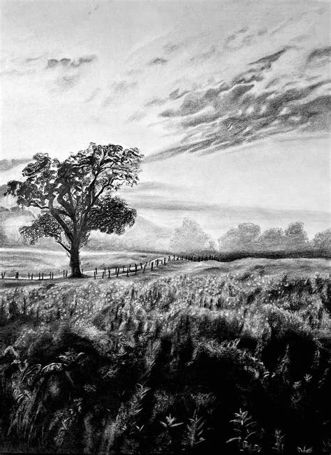 Landscape Charcoal Drawing Print 13x19in329x483mm Wall Artwall Art - Etsy