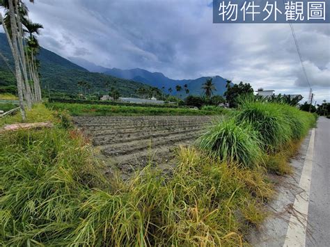 吉安慶豐臨路足坪方正美農地 花蓮縣吉安鄉福吉段房屋 Yc0252849 永慶不動產