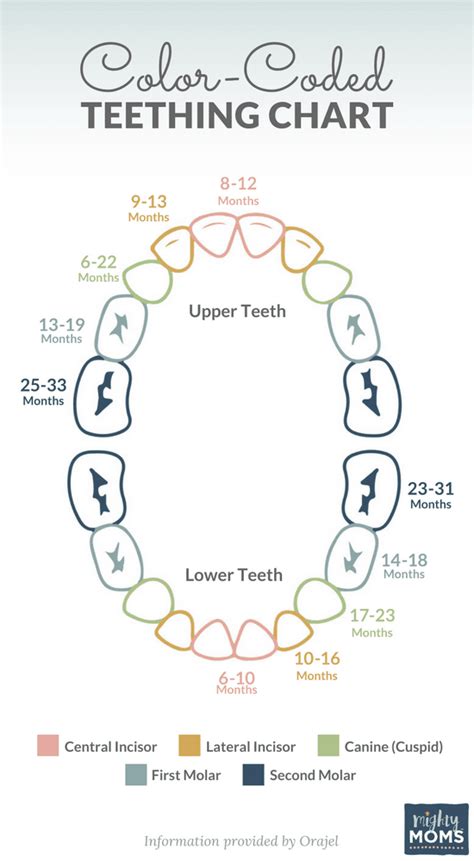 Rainbows Help Everything: Color-Coded Teething Chart