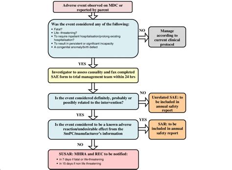 Reporting Flowchart