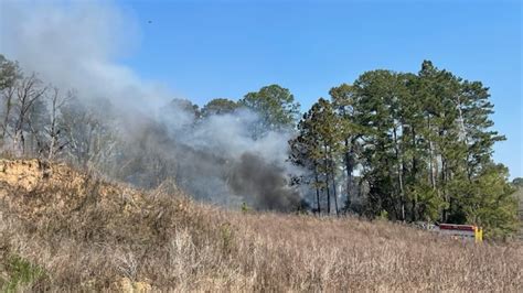 Tfd Brush Fire Off Thomasville Road Contained