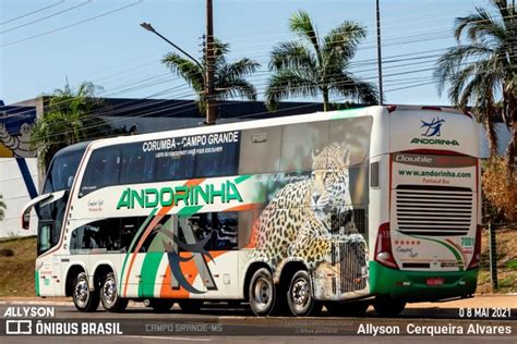 Empresa De Transportes Andorinha Em Campo Grande Por Allyson