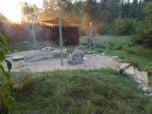 Steamy Clothing Optional Colorado Hot Springs Oyster