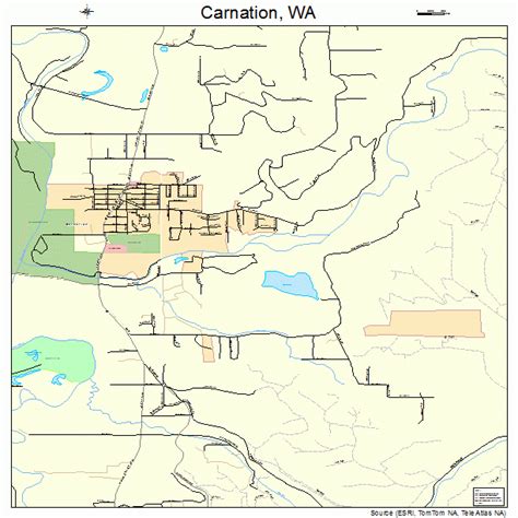 Carnation Washington Street Map 5310215