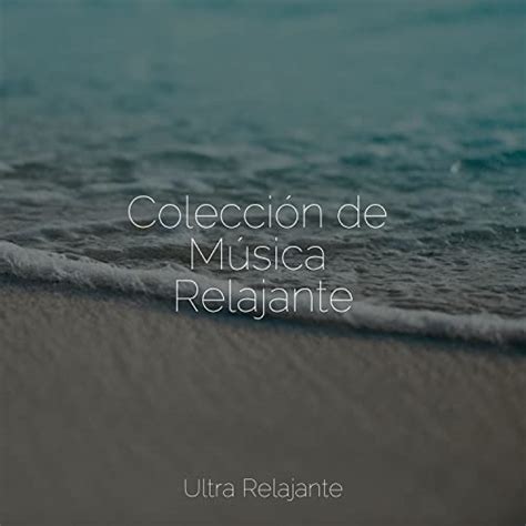 Amazon Music Musica Para Dormir 101 Ambiente Academia De