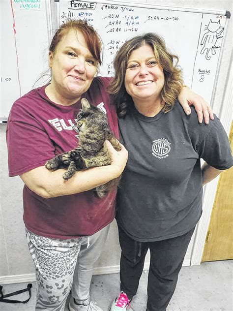 Humane Society spays 10,000 cat - Fairborn Daily Herald