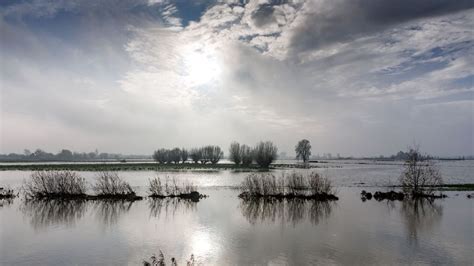 Inondations en Belgique six mois après Il reste cinq six personnes