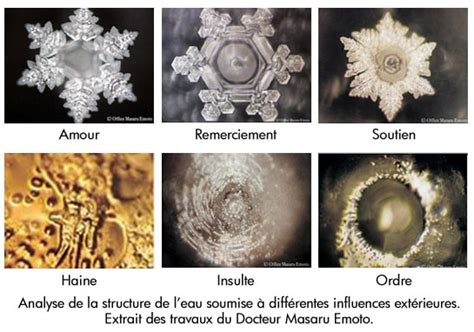 The memory of water by Dr. Masaru Emoto - Afrikhepri