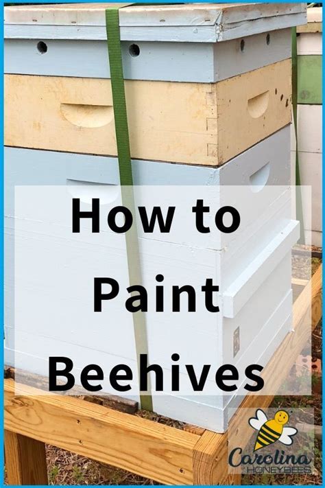 Should You Paint Your Bee Hives Yes Maybe You Should Painting A Hive