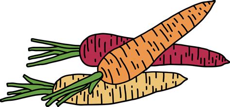 Doodle Freehand Sketch Drawing Of Carrot Vegetable Png