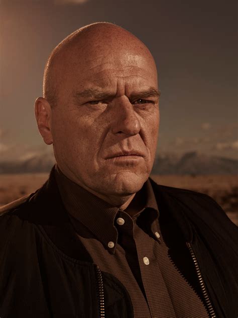 Hank Schrader - Breaking Bad Wiki