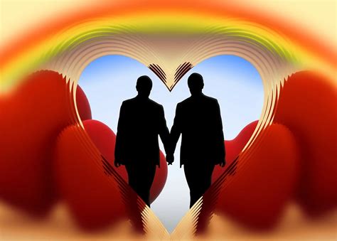 Why Has Same Sex Sexual Behaviour Persisted During Evolution Gay