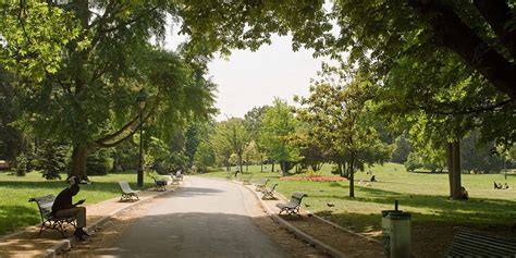 park  benches  trees wallpaperscom