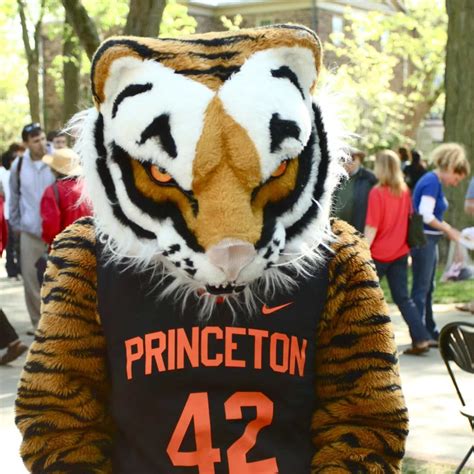 Princeton University Tigers