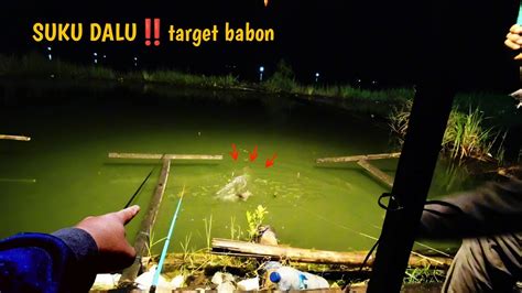 TARGET BABON SUDAH LAMA BANGET GAK MANCING DI SPOT INI MANCING MALAM