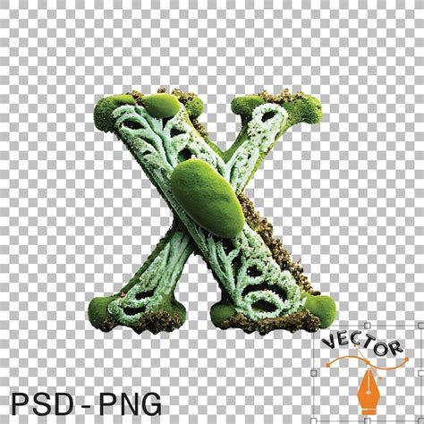 A Z Png Psd