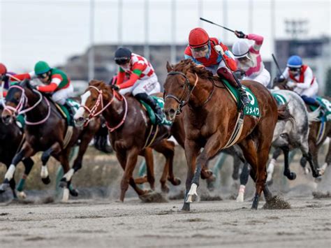 【カペラs結果】リメイクが鋭く追い込み4馬身差圧勝、福永祐一騎手の手綱 競馬ニュース