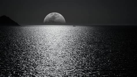 amazing black  white  pexels  stock