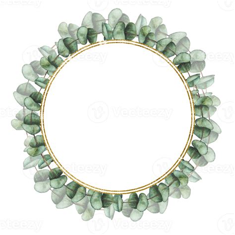 Eucalyptus green plant wreath. Watercolor golden circle frame. Greenery
