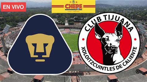 Pumas Vs Tijuana En Vivo Jornada Torneo Clausura Liga Mx Youtube