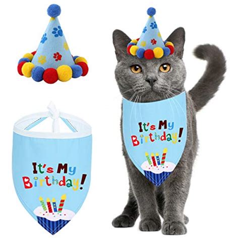 Best Birthday Hat For Your Cat