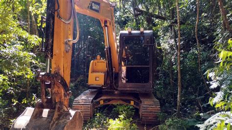 Gcm Prende Dois Homens Por Crime Ambiental E Apreende Diversos