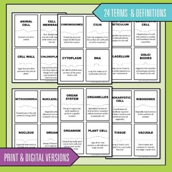 Cells Vocabulary Activity Digital And Print Self Checking Science Puzzles