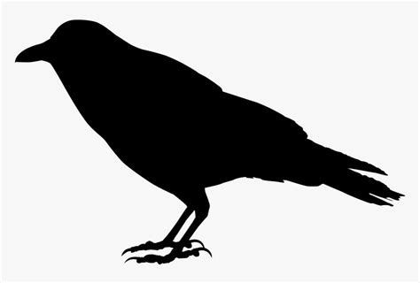 Crow Silhouette Png - Silhouette Crow Transparent Background, Png ...