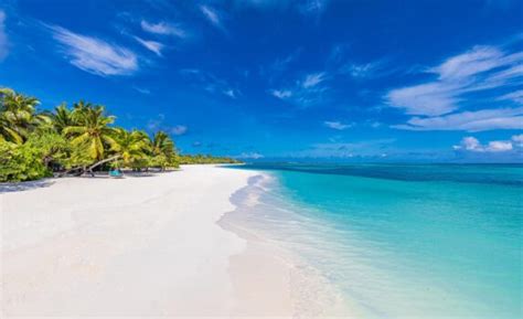 青い海とヤシの木と白い砂浜 モルディブの風景 Beautiful 世界の絶景 美しい景色