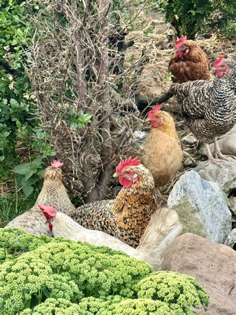 Transit Directions to The Barrow House via Bus, Train, or Subway 9