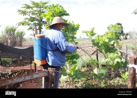 CAMPO MOURÃO PR 11 07 2018 AGRONEG CIO EFEITO EMITE GASES DE ESTUFA