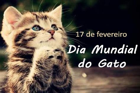 De Fevereiro Dia Mundial Do Gato