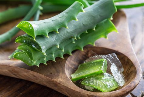 Different Ways To Consume Aloe Vera For Its Health Benefits