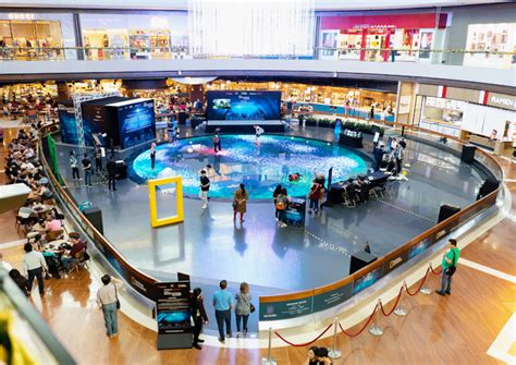 Challenge | Showcasing Singapore's Innovations